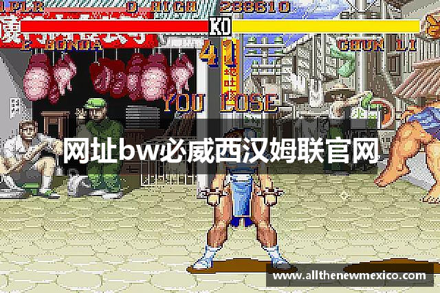 网址bw必威西汉姆联官网